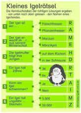 31-02 d Igelrätsel.pdf